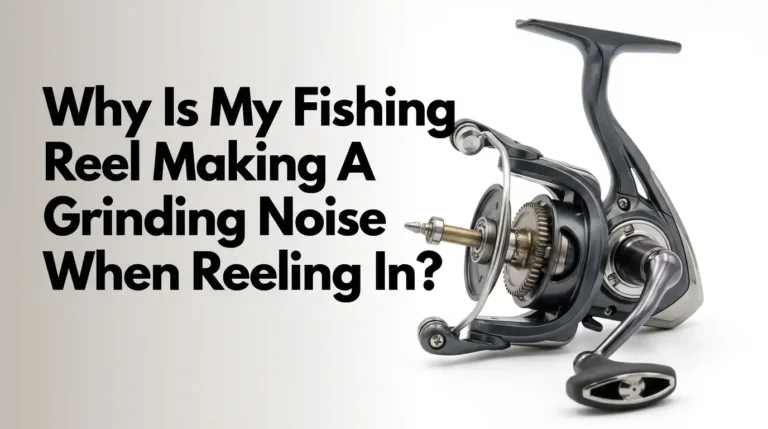 Why Is My Fishing Reel Making A Grinding Noise When Reeling In?